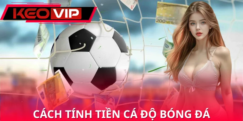 Cách Tính Tiền Cá Độ Bóng Đá