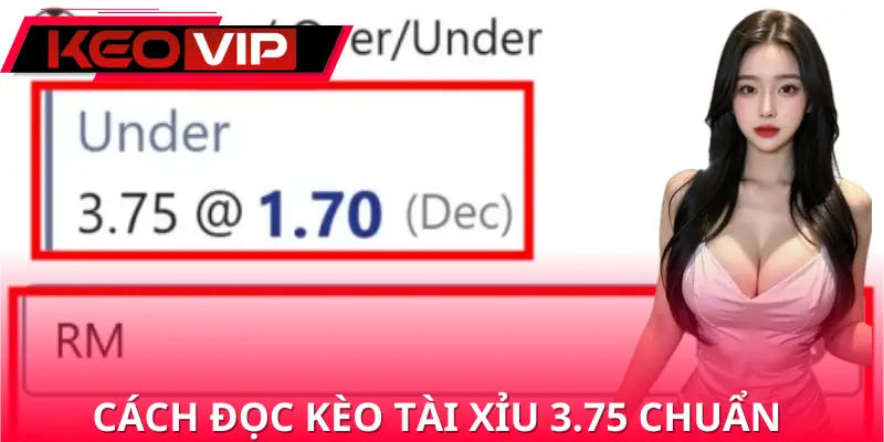 Hướng dẫn các cách đọc kèo tài xỉu 3.75 chuẩn xác nhất
